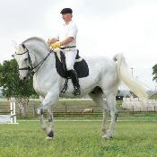 Reinhard Dorsch riding grey horse in dressage saddle