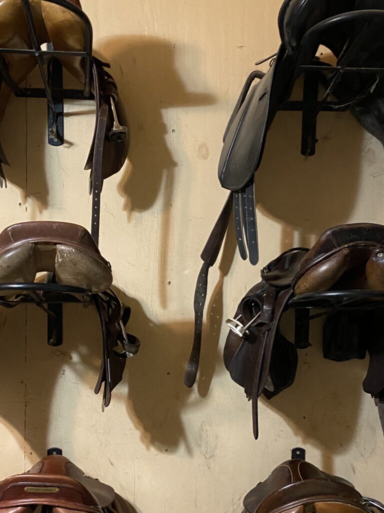 Saddles hanging on wall of tack room Bel Canto Farm