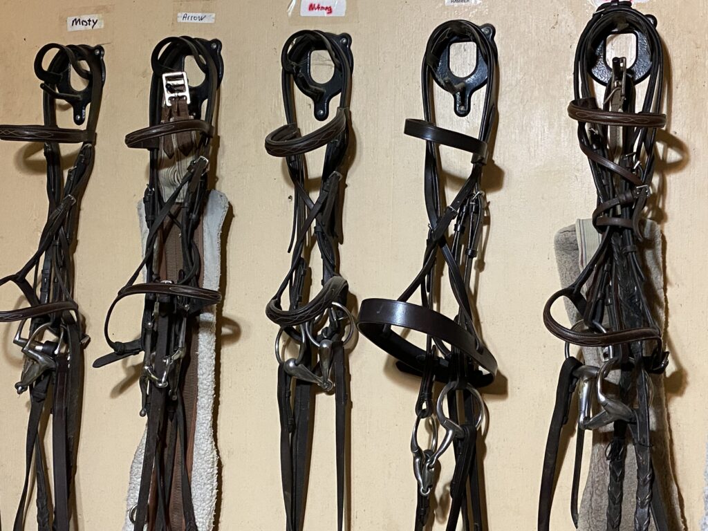 Bridles hanging in tack room Bel Canto Farms