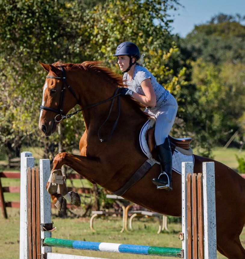 Stephanie Dunn Bel Canto Farms instructor jumping chestnut horse